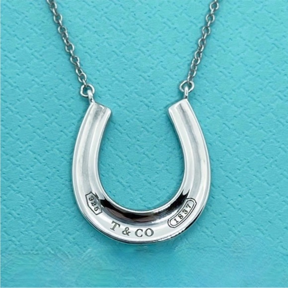 Tiffany & Co. Jewelry - Tiffany & Co. Horseshoe necklace